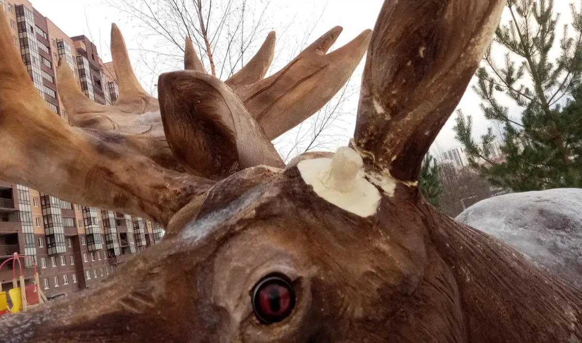 Вырвали скамейки и сломали лося: вандалы разгромили парк в Мурино - tvspb.ru