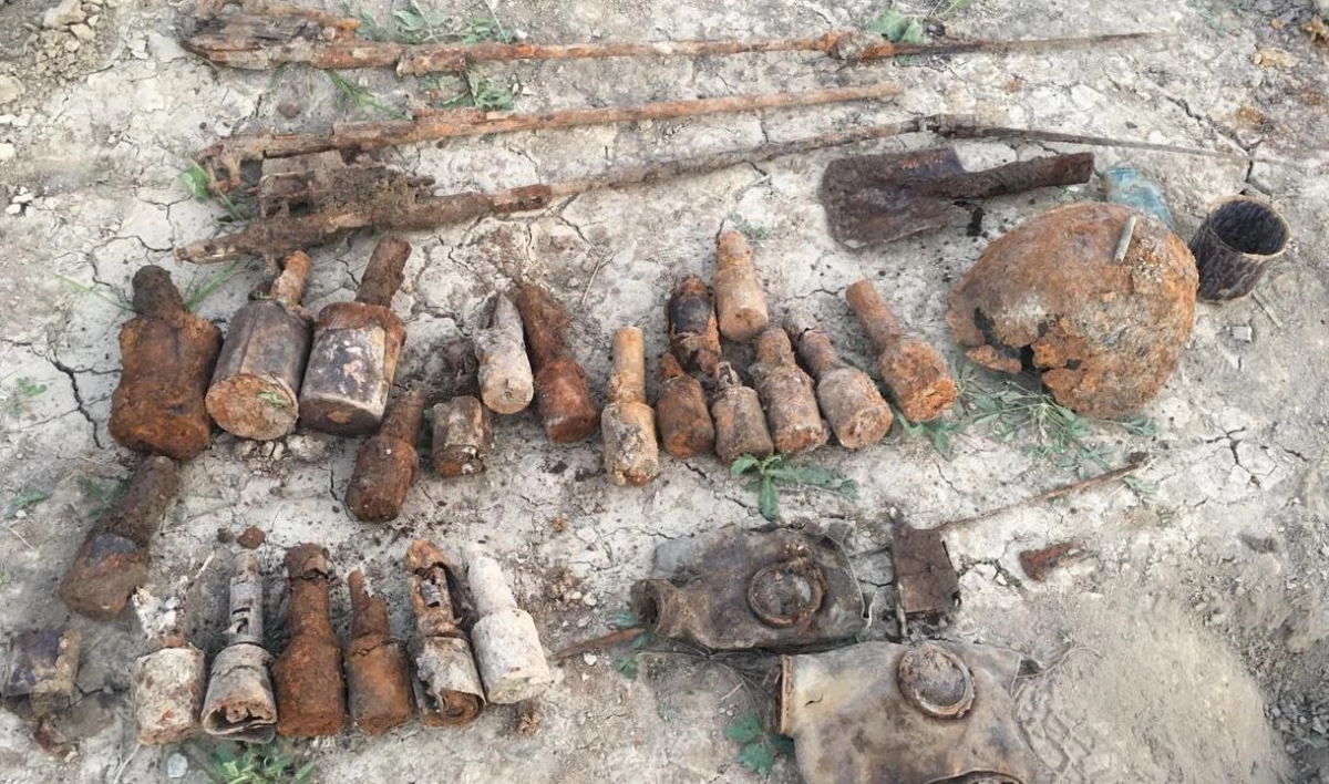 В Буграх нашли более 20 гранат времен войны и человеческие останки - tvspb.ru