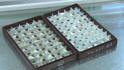 В Петербурге после капремонта открылась уникальная лаборатория глазного протезирования