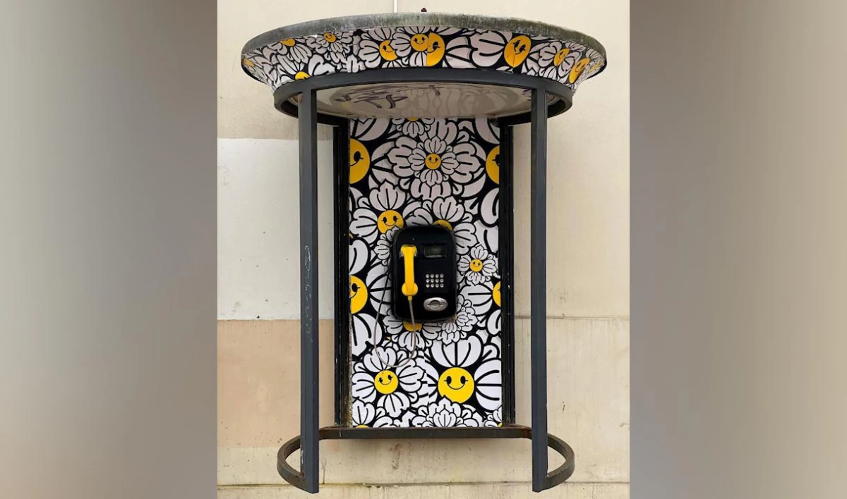 Уличный художник украсил ромашками телефонную будку и остановку в Петербурге - tvspb.ru