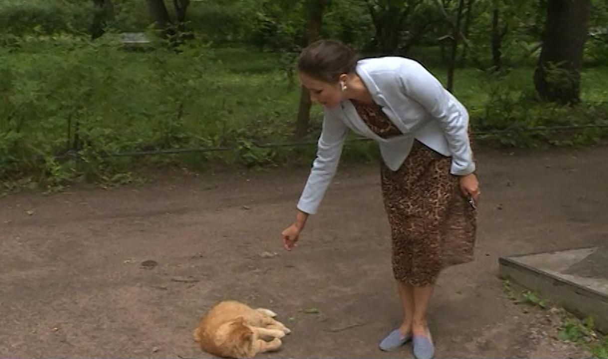 Сотрудники и коты Музея Анны Ахматовой снова ждут посетителей