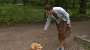 Сотрудники и коты Музея Анны Ахматовой снова ждут посетителей
