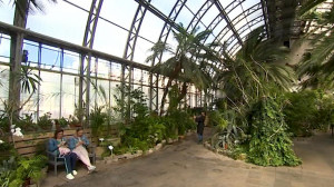 Судьба оранжерей