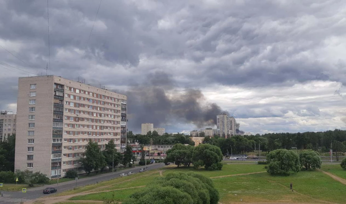 В Сосновой Поляне горит несанкционированная свалка - tvspb.ru