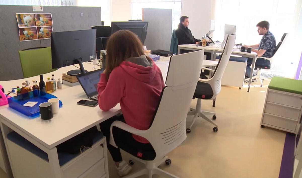 Правительство выделит 21,5 млрд рублей на меры поддержки IT-отрасли - tvspb.ru