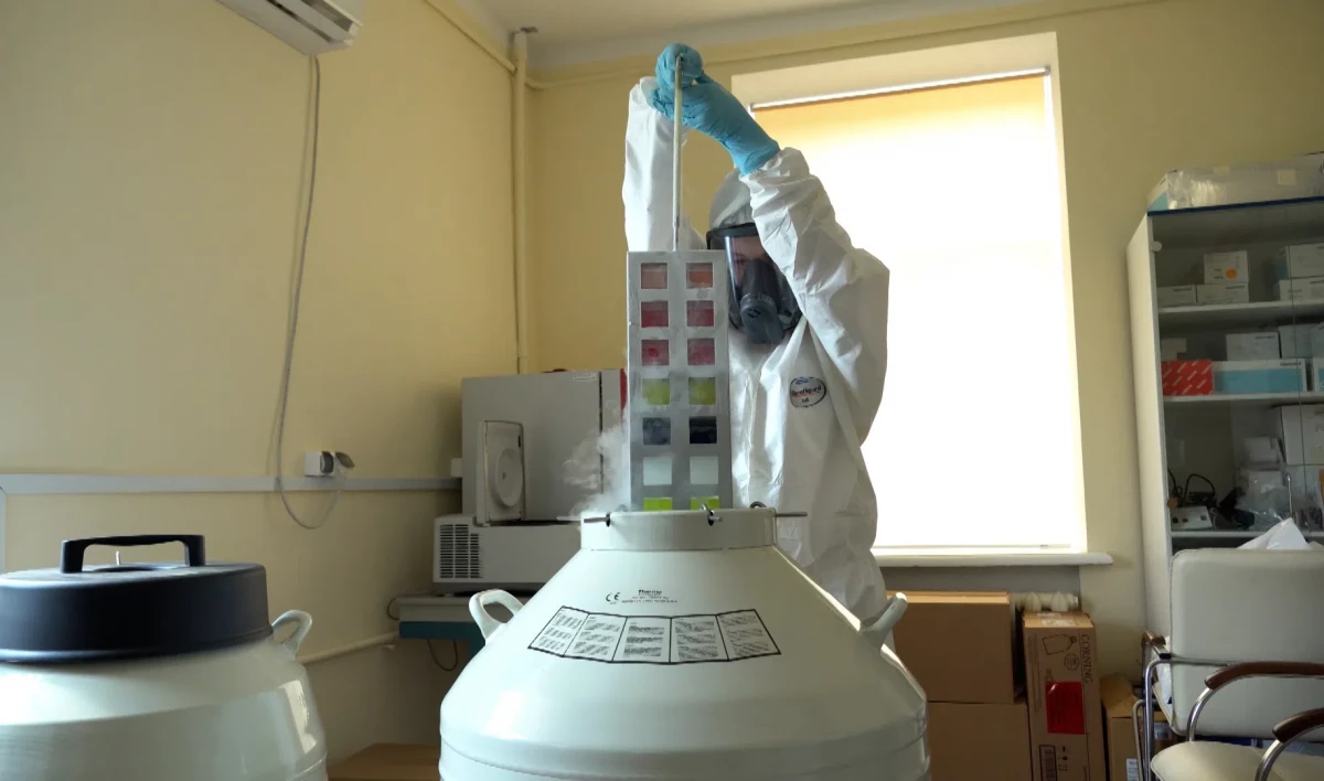 В России запустят производство ветеринарных вакцин и электрических велосипедов - tvspb.ru