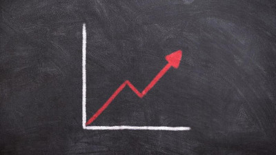 С начала этого года число безработных в России увеличилось на 44 тысячи