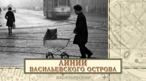 Линии Васильевского острова