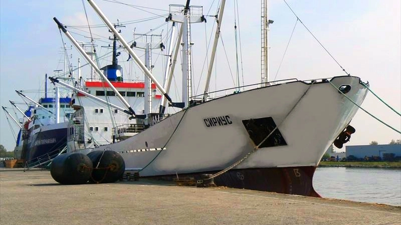 Транспортная полиция выясняет причины посадки на мель грузового судна у Кронштадта - tvspb.ru