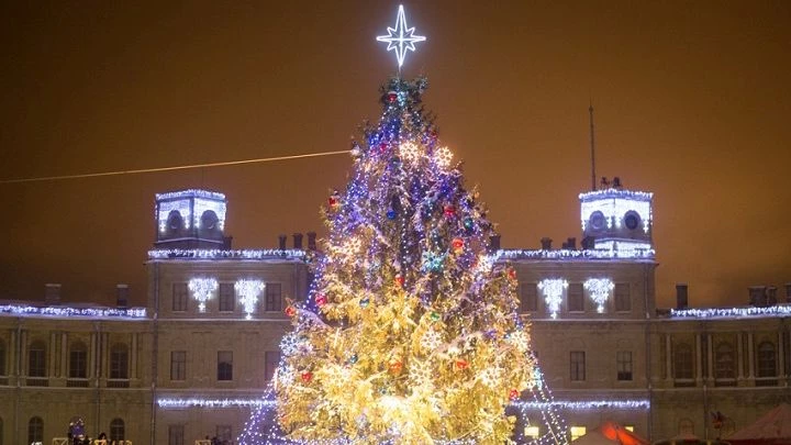 «Новогодняя кутерьма» закружит гостей музея-заповедника «Гатчина» - tvspb.ru