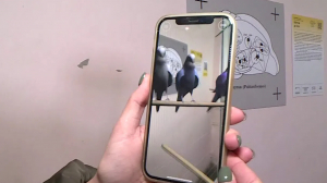 Искусство среди нас. Фестиваль паблик-арта Арт Проспект