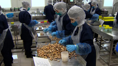 Время превращается в деньги: Как бережливые технологии улучшают производительность труда на предприятиях Петербурга