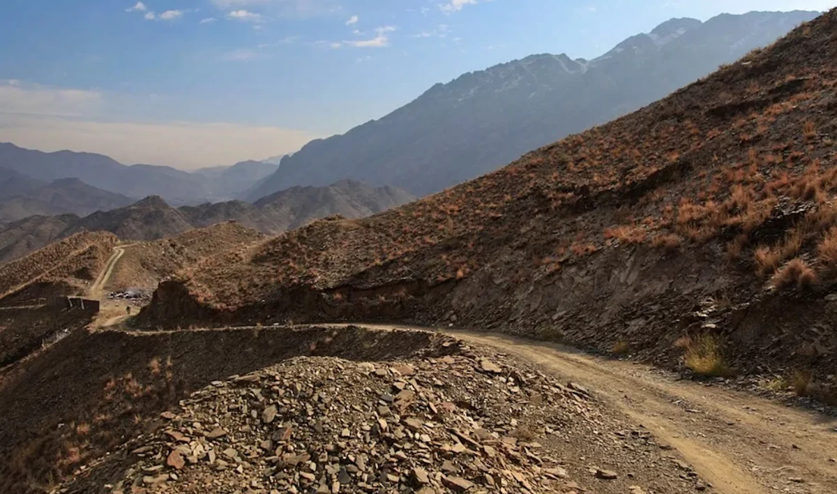 В Афганистане пала провинция Панджер - tvspb.ru