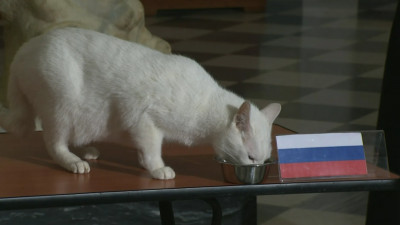 Ахилл пообещал России трудную победу в матче с Финляндией