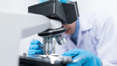 Петербургские ученые нашли способ выявлять рак по анализу мочи