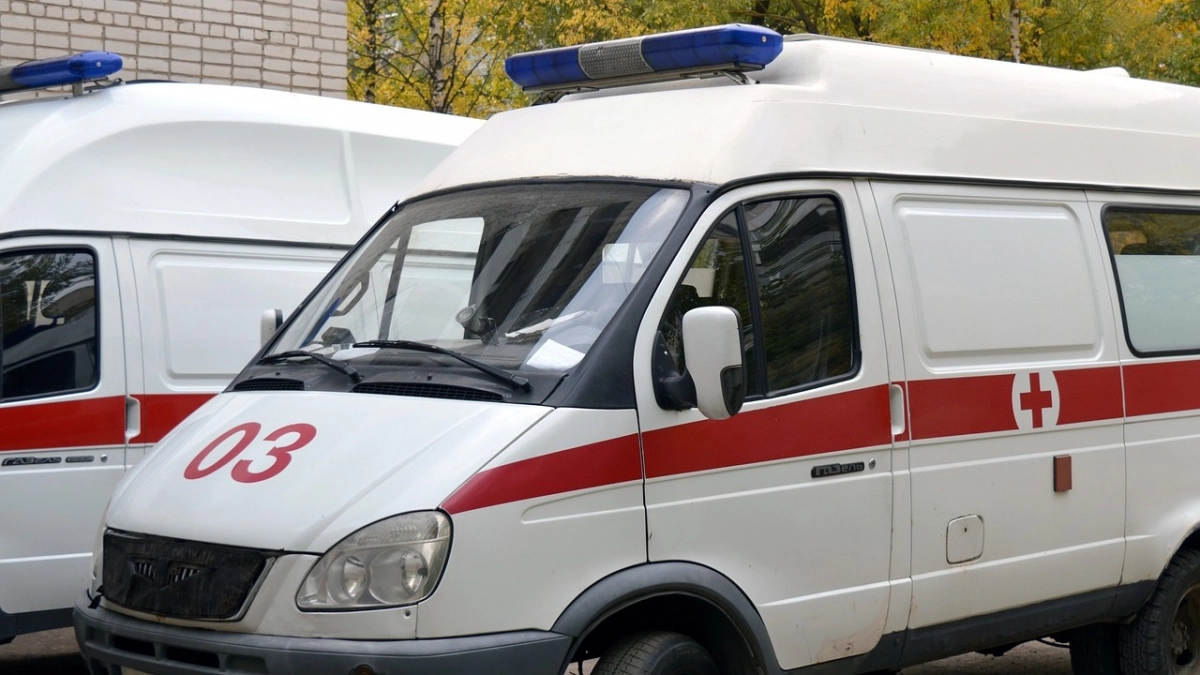 В Москве и Московской области в результате непогоды погибли два человека - tvspb.ru