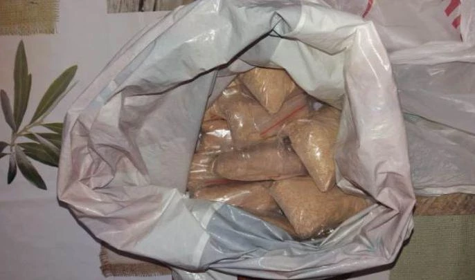 Собака по кличке Франк помогла найти в квартире 5 кг амфетамина - tvspb.ru