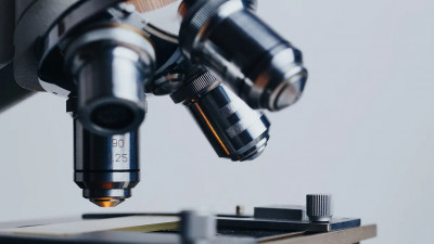 Петербургские ученые нашли способ справиться с внутрибольничными инфекциями