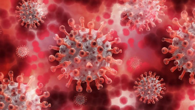 Европейский университет: Антитела к коронавирусу есть у 8% жителей Петербурга