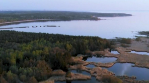Историк создал маршрут прогулки по южному берегу Финского залива