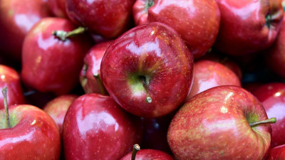 Петербургское УФАС выяснило причину роста цен на яблоки
