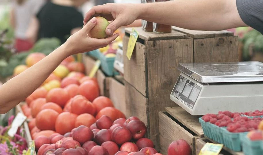 Роскачество доказало, что отечественные яблоки лучше импортных - tvspb.ru