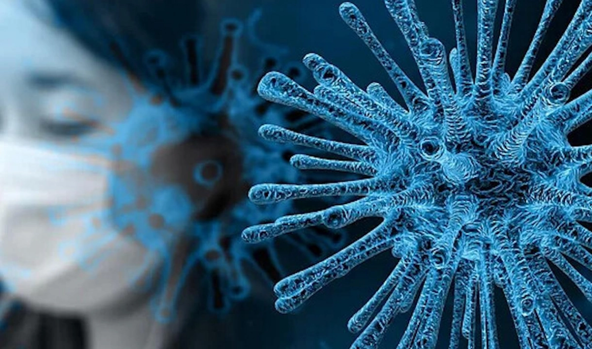 Власти Китая заявили о прекращении распространения коронавируса в стране - tvspb.ru