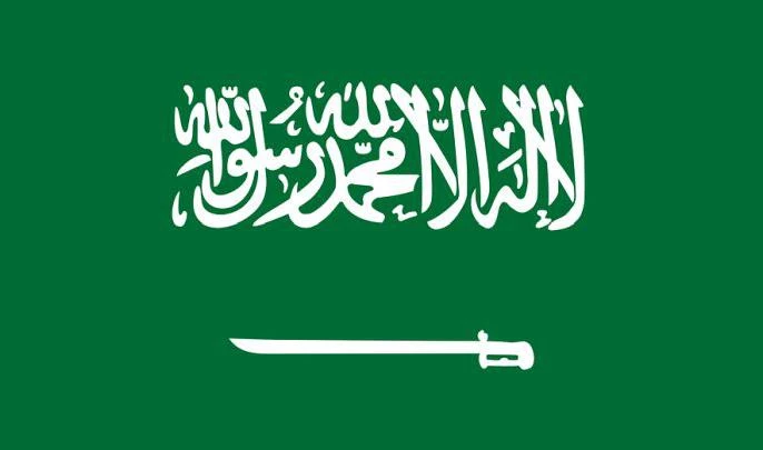 Саудовская Аравия направит на ПМЭФ-2018 самую многочисленную за историю форума делегацию - tvspb.ru
