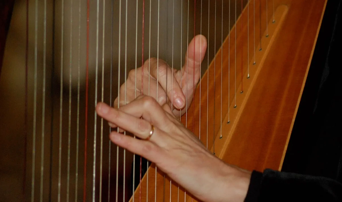 В Мариинском театре пройдет фестиваль арфовой музыки - tvspb.ru