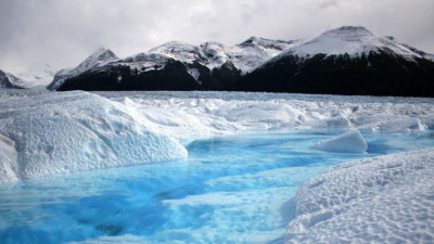 Петербургские ученые занялись биологическим мониторингом в Арктике
