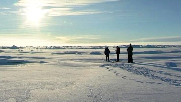 Ученые найдут способ контролировать парниковые газы в Арктике - tvspb.ru