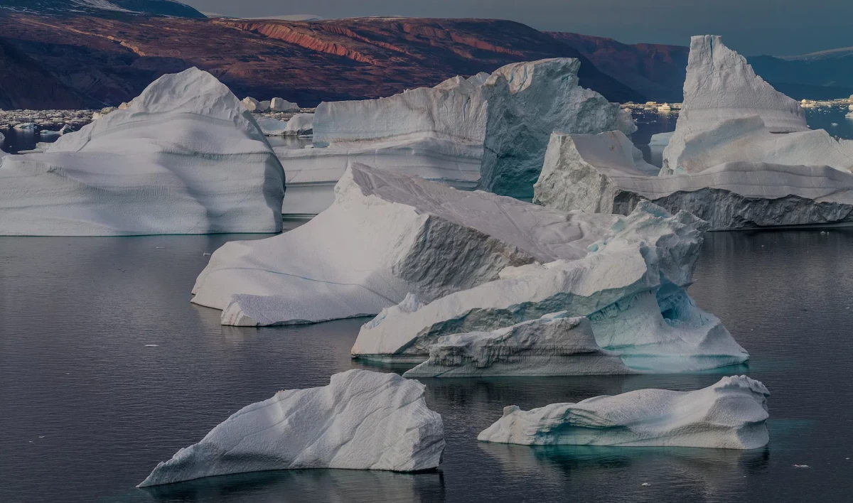 В октябре между Петербургом и регионами Арктической зоны заключили 60 контрактов - tvspb.ru