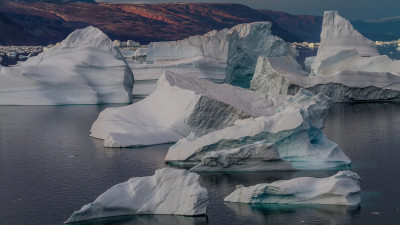 В октябре между Петербургом и регионами Арктической зоны заключили 60 контрактов