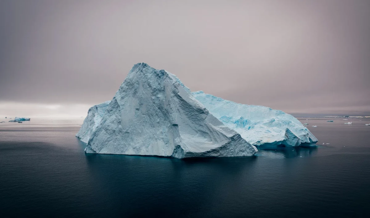 Оборот между Петербургом и Арктическими регионами в этом году уже превысил 12 млрд рублей - tvspb.ru