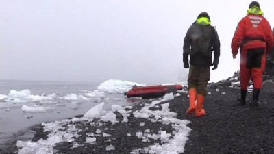 По следам «Святой Анны»: исследователи изучили фауну и памятные места Арктики