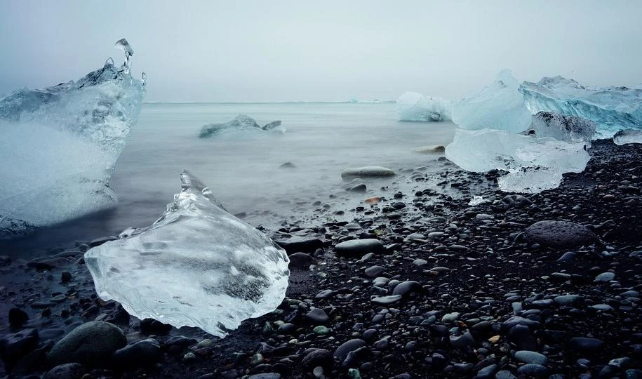 В загрязненных районах Арктики нашли улиток с аномалией - tvspb.ru
