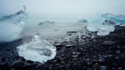 В загрязненных районах Арктики нашли улиток с аномалией