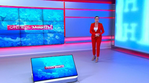 Степень защиты, 18 февраля