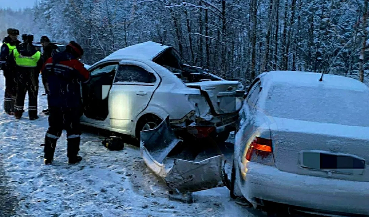 На Мурманском шоссе произошла массовая авария, два человека погибли - tvspb.ru