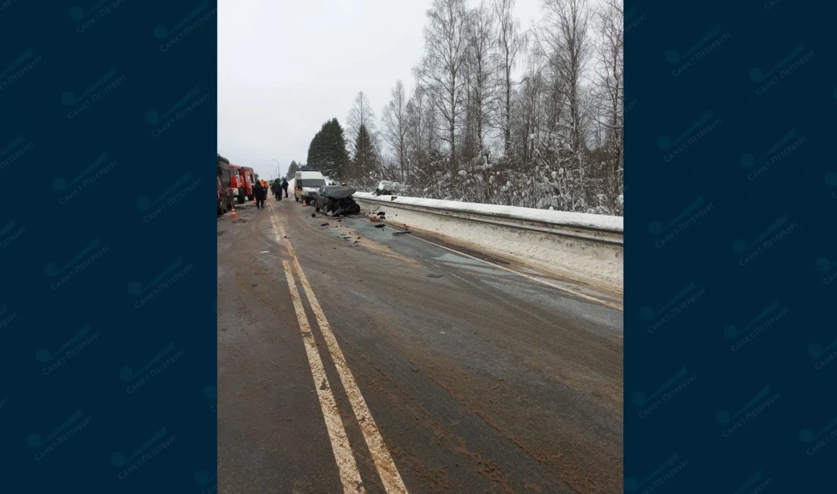 Движение на трассе А-114 в Ленобласти перекрыли после смертельного ДТП - tvspb.ru