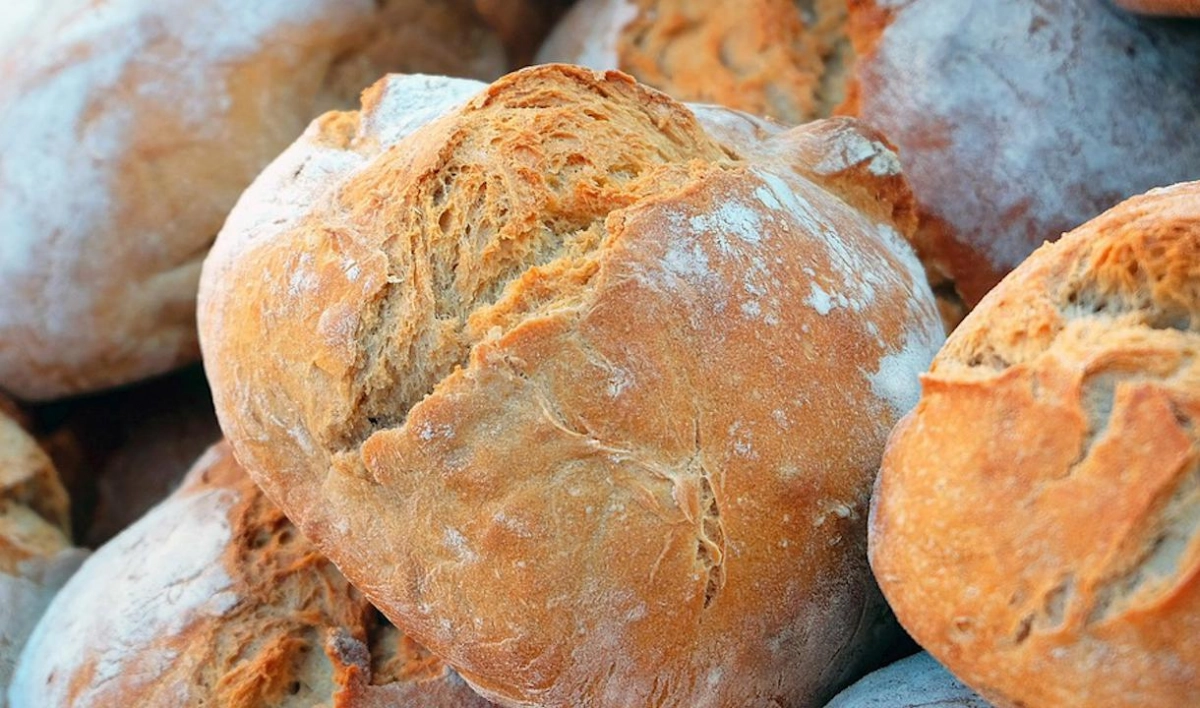 Росстат зафиксировал рост цен на хлеб - tvspb.ru