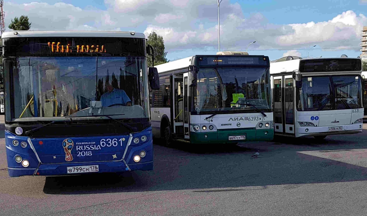 На Задворной улице изменятся маршруты ряда автобусов - tvspb.ru
