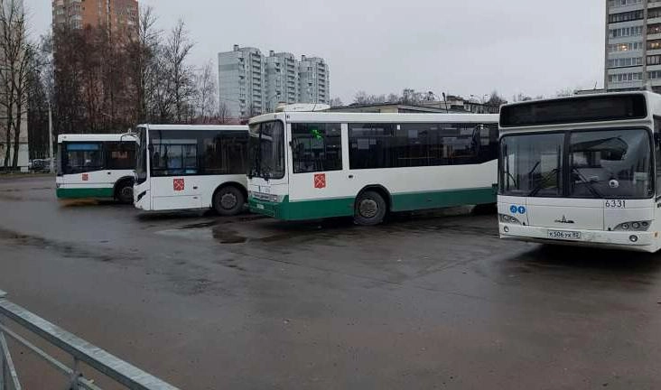 В Шушарах планируют увеличить количество автобусов на социальных маршрутах - tvspb.ru