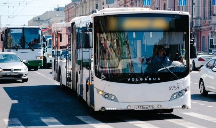 Назван самый популярный автобусный маршрут Петербурга - tvspb.ru