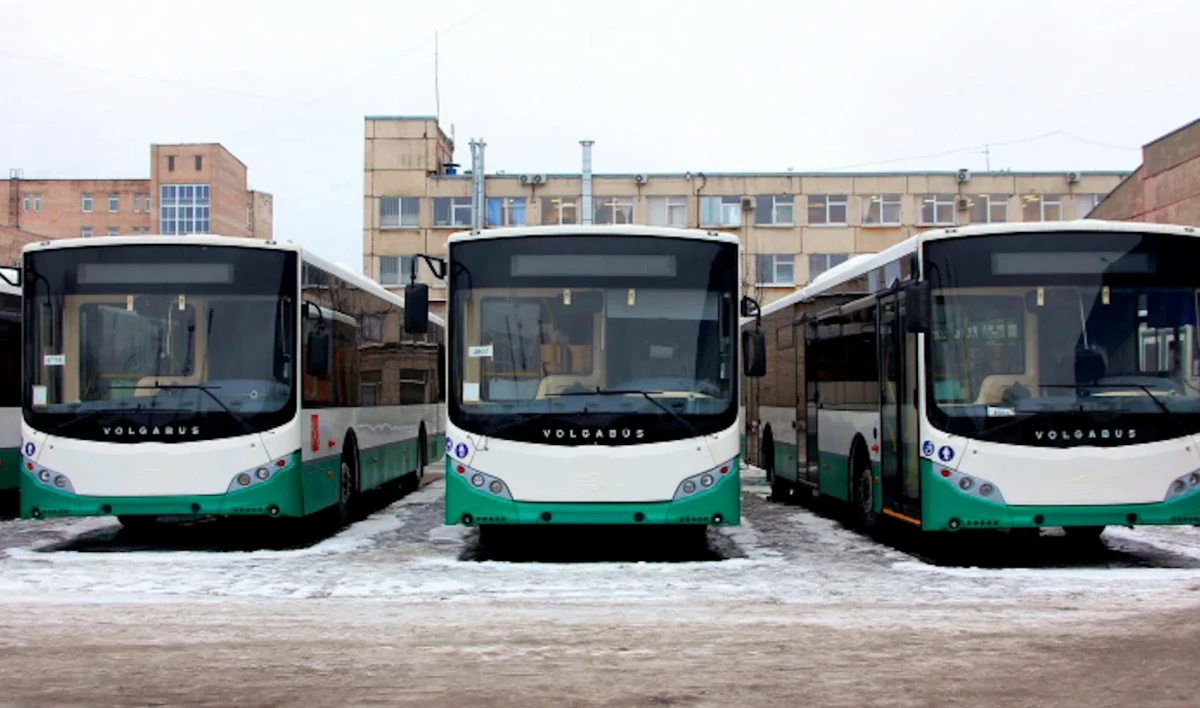 В Приморском районе запустили дополнительный автобусный маршрут - tvspb.ru