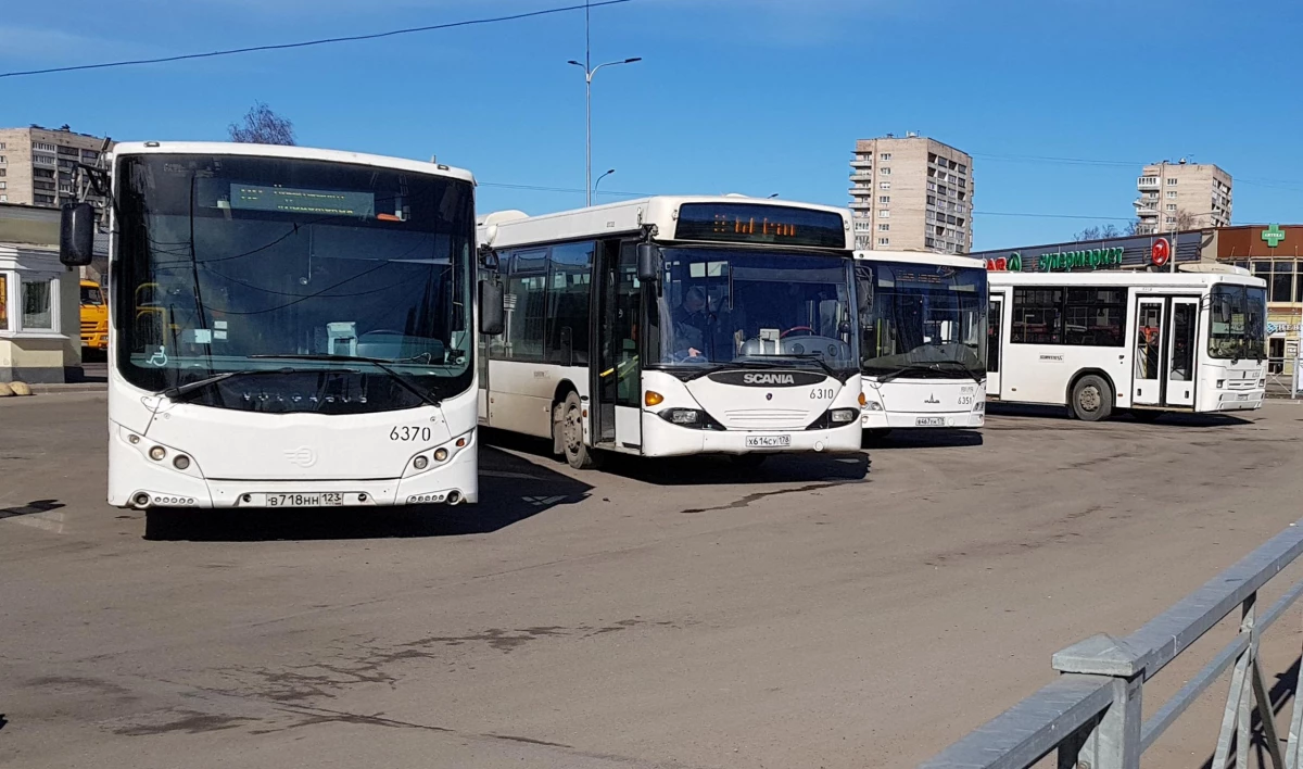 В Приморском районе два автобуса изменят маршруты - tvspb.ru