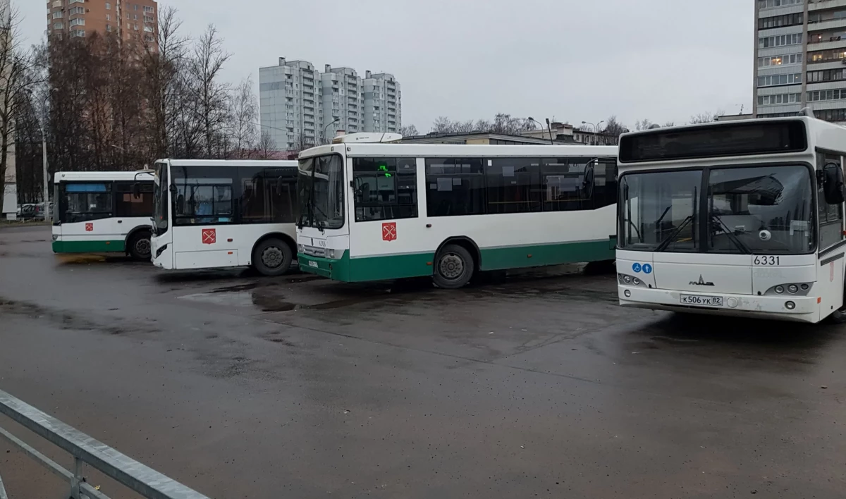 Новый автобус № 343 свяжет метро «Проспект Ветеранов» и Ломоносов |  Телеканал Санкт-Петербург