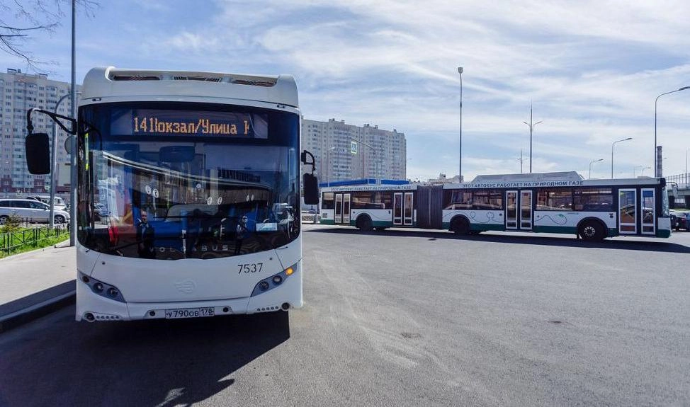 В центре Петербурга увеличат число экологичных автобусов - tvspb.ru