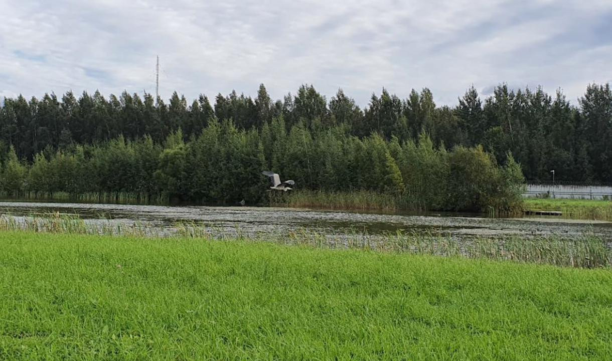 Форум ольгино. Водоканал СПБ В Ольгино. Северная станция аэрации.