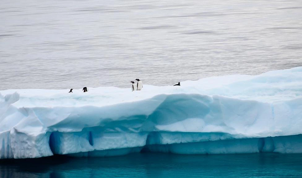 В Антарктиде появится экспериментальное оборудование для контроля состояния ледников - tvspb.ru